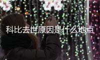 科比去世原因是什么地点在哪 因直升机坠毁遗憾离世终年41岁