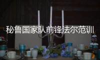 秘鲁国家队前锋法尔范训练中脑震荡导致昏迷缺席第三战