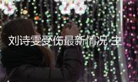 刘诗雯受伤最新情况 主管教练马琳透露刘诗雯伤情