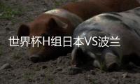 世界杯H组日本VS波兰比赛首发阵容预测 比赛直播地址