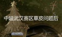中超武汉赛区草皮问题后续：武汉卓尔官方向球迷致歉