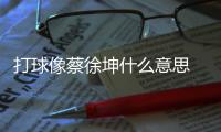 打球像蔡徐坤什么意思 打球太蔡梗出处内涵意思介绍