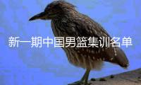 新一期中国男篮集训名单：80后仅剩阿联等7人 95后撑起新阵容
