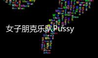 女子朋克乐队Pussy Riot宣布对闯入世界杯决赛球场负责