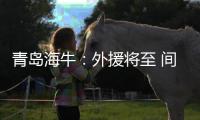青岛海牛：外援将至 间歇期前他更多是“奇兵”