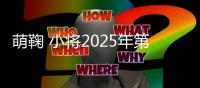 萌鞠 小将2025年第十届全国青少年足球精英挑战赛圆满落幕​