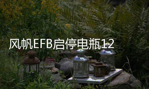 风帆EFB启停电瓶12V70A汽车电瓶适配奥迪A3帕萨特标志408英朗途观