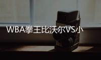 WBA拳王比沃尔VS小史密斯开战时间 准备统一轻重量级