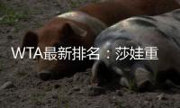 WTA最新排名：莎娃重返TOP30 众小将进步神速