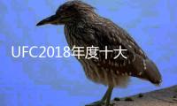 UFC2018年度十大KO时刻 罗德里格兹压哨KO郑赞盛最佳