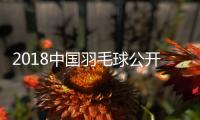 2018中国羽毛球公开赛女单决赛：马琳两局均逆转夺冠军