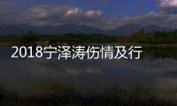 2018宁泽涛伤情及行程消息：被诊断为韧带二度损伤 月底将回澳洲备战
